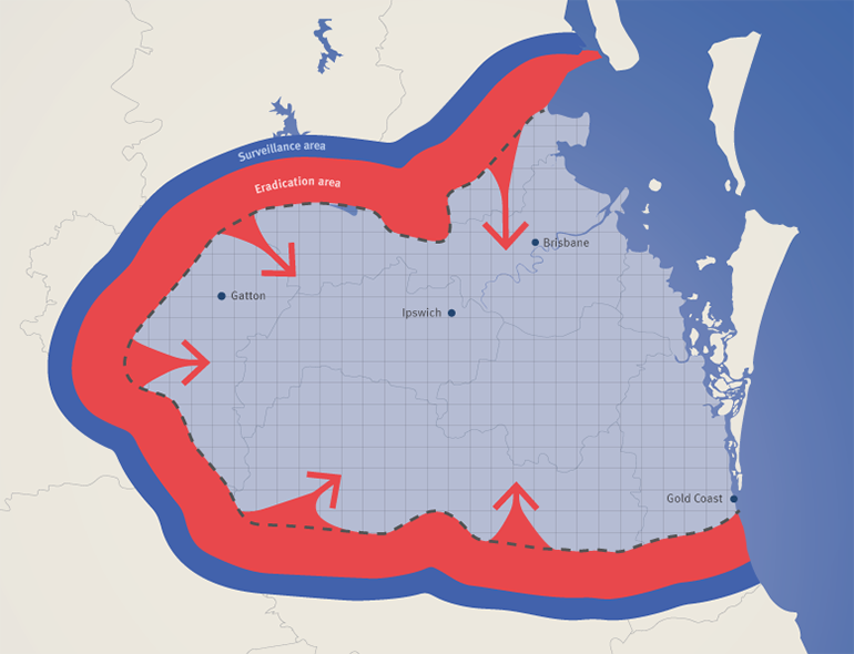 A map of Southeast Queensland showing the treatment and surveillance area, with arrows to indicate that the area will move in.